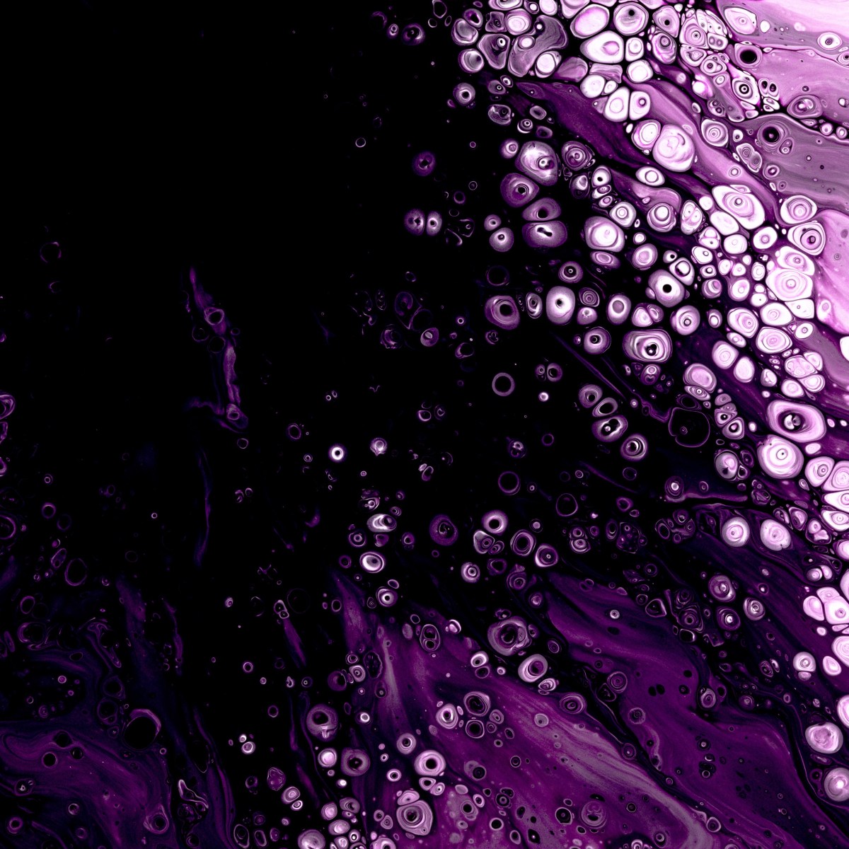 Navigating the Modern Digital World: Strategies for&nbsp;Success