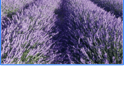 A Day in the Life of Digital Media –&nbsp;Self