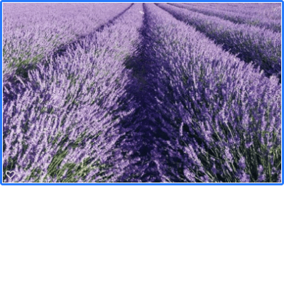 A Day in the Life of Digital Media –&nbsp;Self