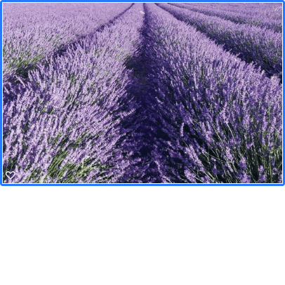 A Day in the Life of Digital Media –&nbsp;Self